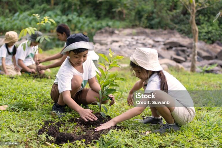 Children, Boys And Girls Help Each Other Plant Trees In The Forest,